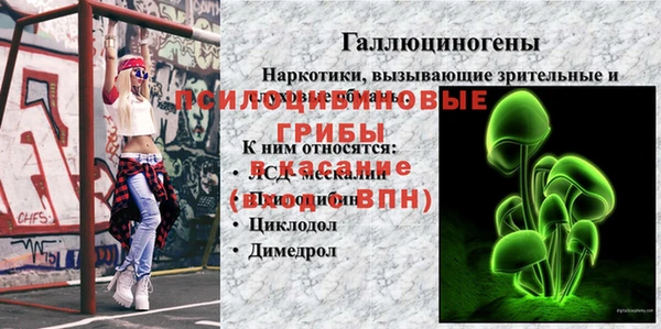 спиды Новодвинск