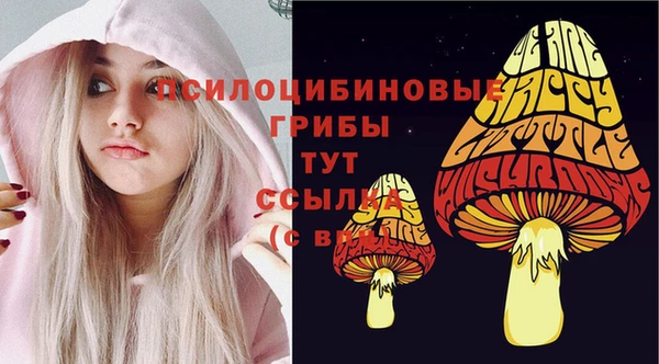 мдпв Няндома