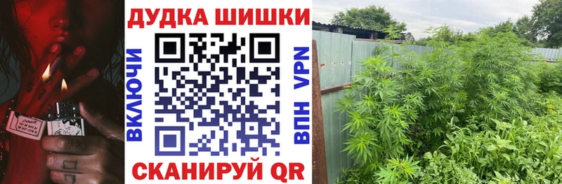 где найти   Тюкалинск  Марихуана конопля 
